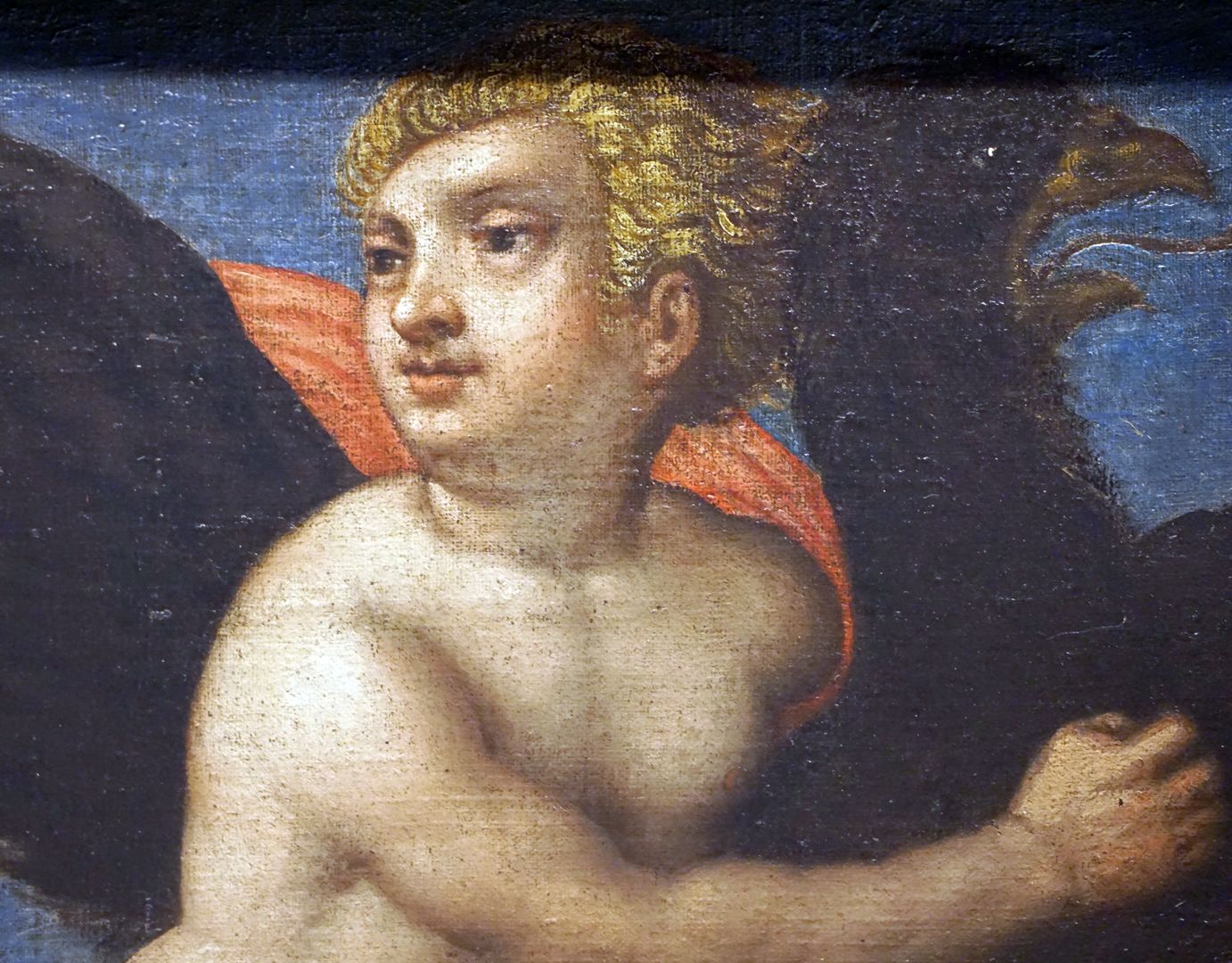 Decke des Schönen Zimmers Ganymed mit dem Adler, Detailansicht