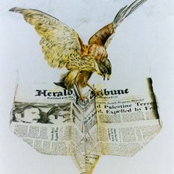 <Robin und der Fremde