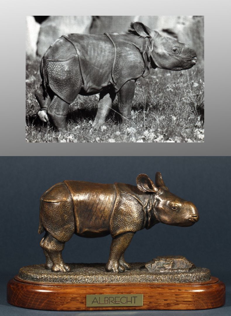 Albrecht Bildvergleich, Foto oben: ALBRECHT, Manati, 15. Jhg. H. 1, April 2000, S. 4, Foto Dr. Lorenzo von Fersen (Tiergarten Nürnberg)