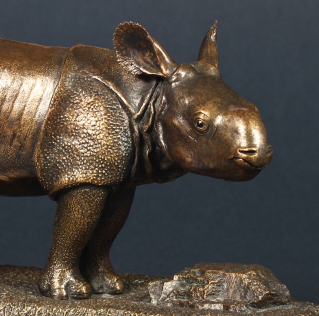 Albrecht vordere Körperhälfte