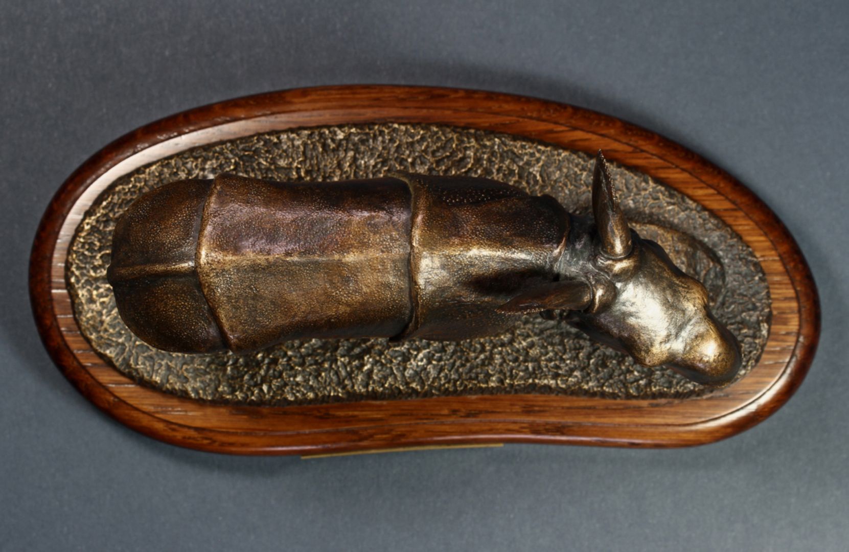 Albrecht Ansicht von oben