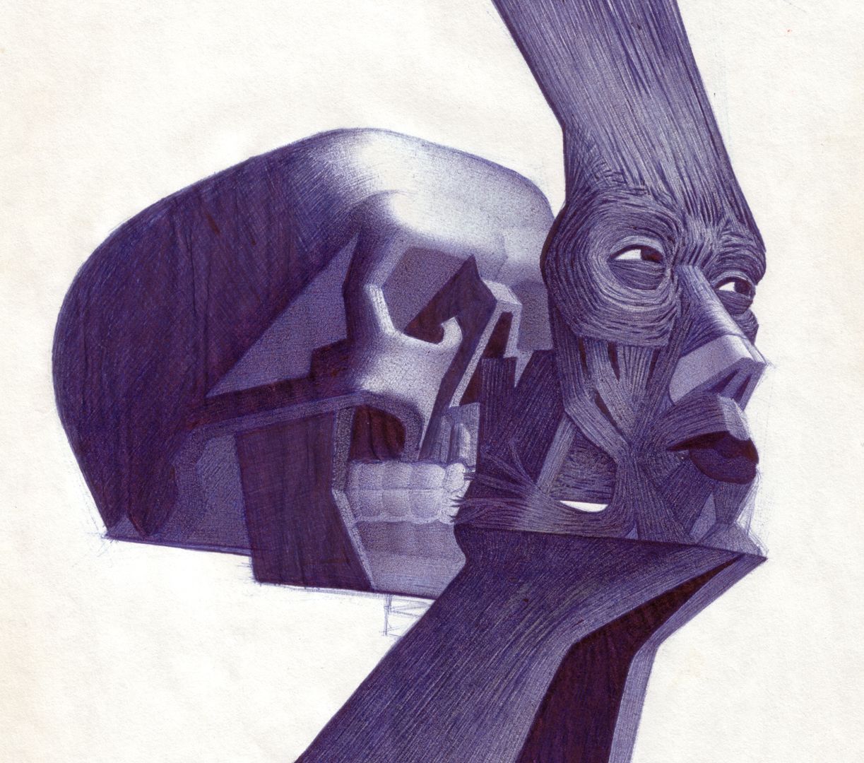 Kopfstudien Anatomie-Kopf 3, Detailansicht