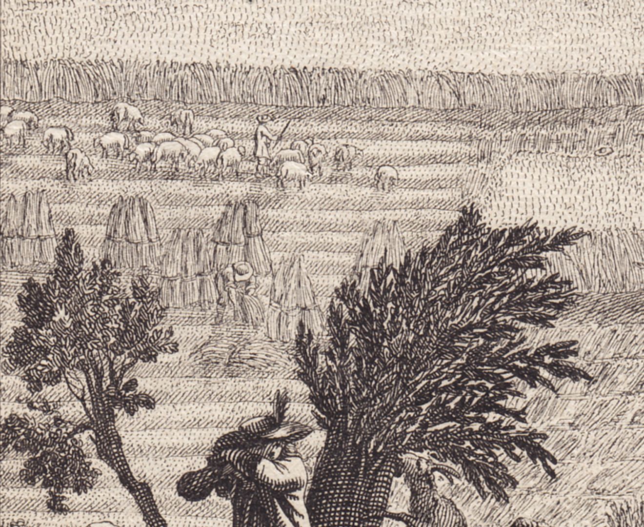 Poppenreuth Detailansicht