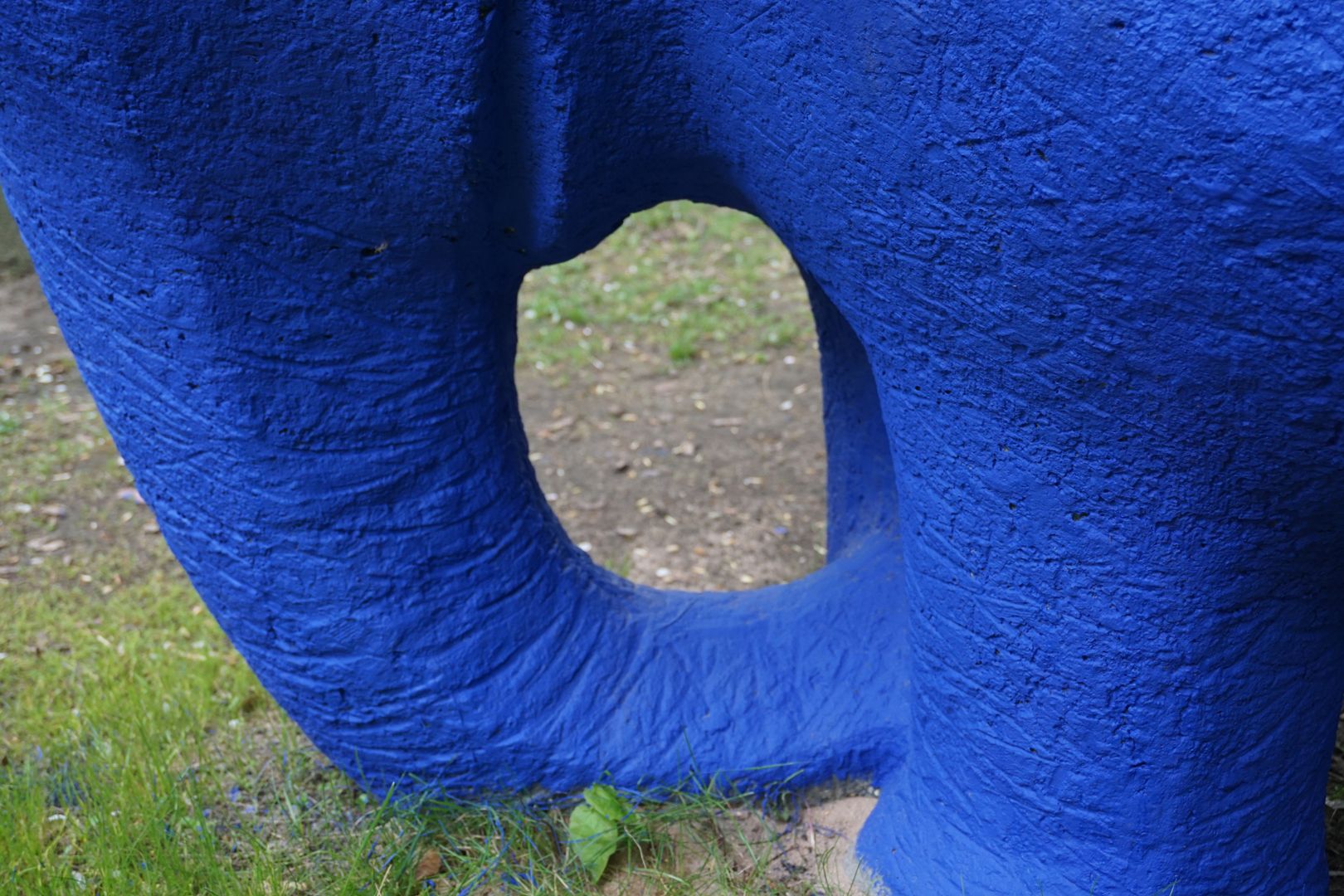 Elefant seitliche Ansicht, Detail mit Mund und Rüssel