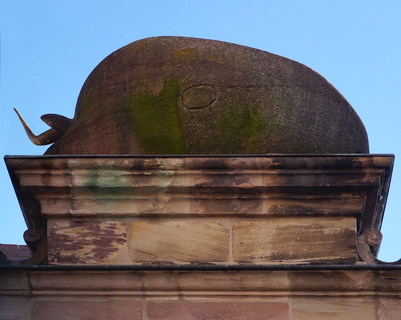 Portal mit Ochsen auf der Fleischbrücke Rückseites des Ochsen, Schrägansicht von unten