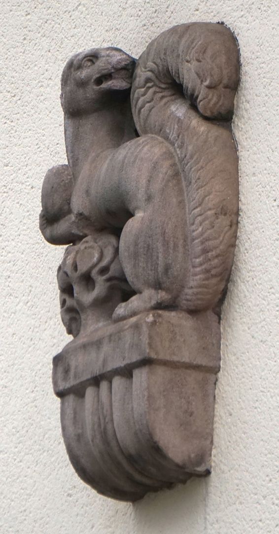 Fassadenschmuck an der ehemaligen AOK / Mühlgasse Eichhörnchen mit Nuß, seitliche Ansicht
