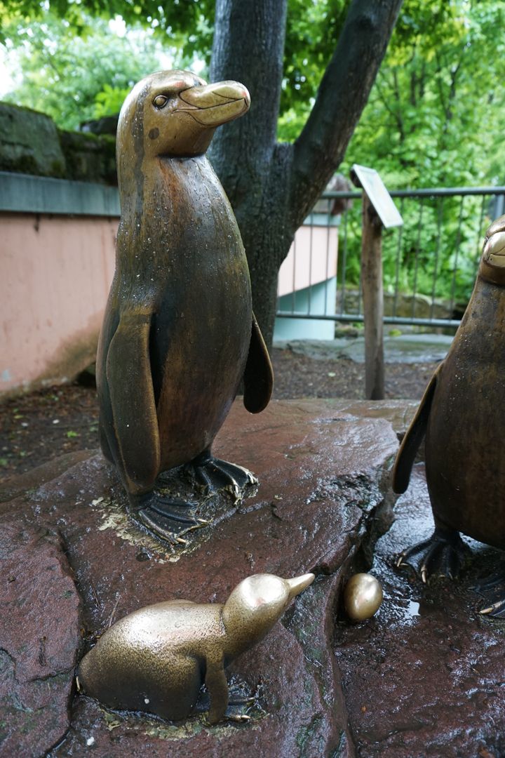 Humboldt-Pinguin-Familie 