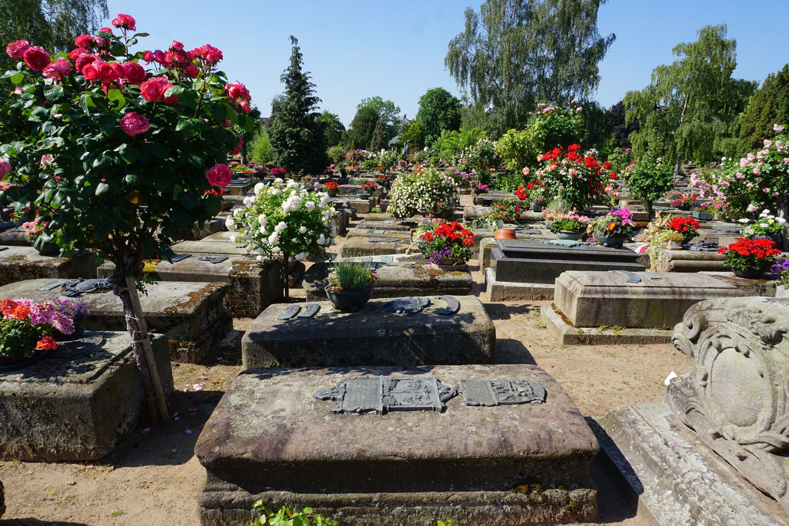 Johannisfriedhof Grabstätte 910 Lage im Gräberfeld