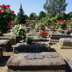 <Johannisfriedhof Grabstätte 910