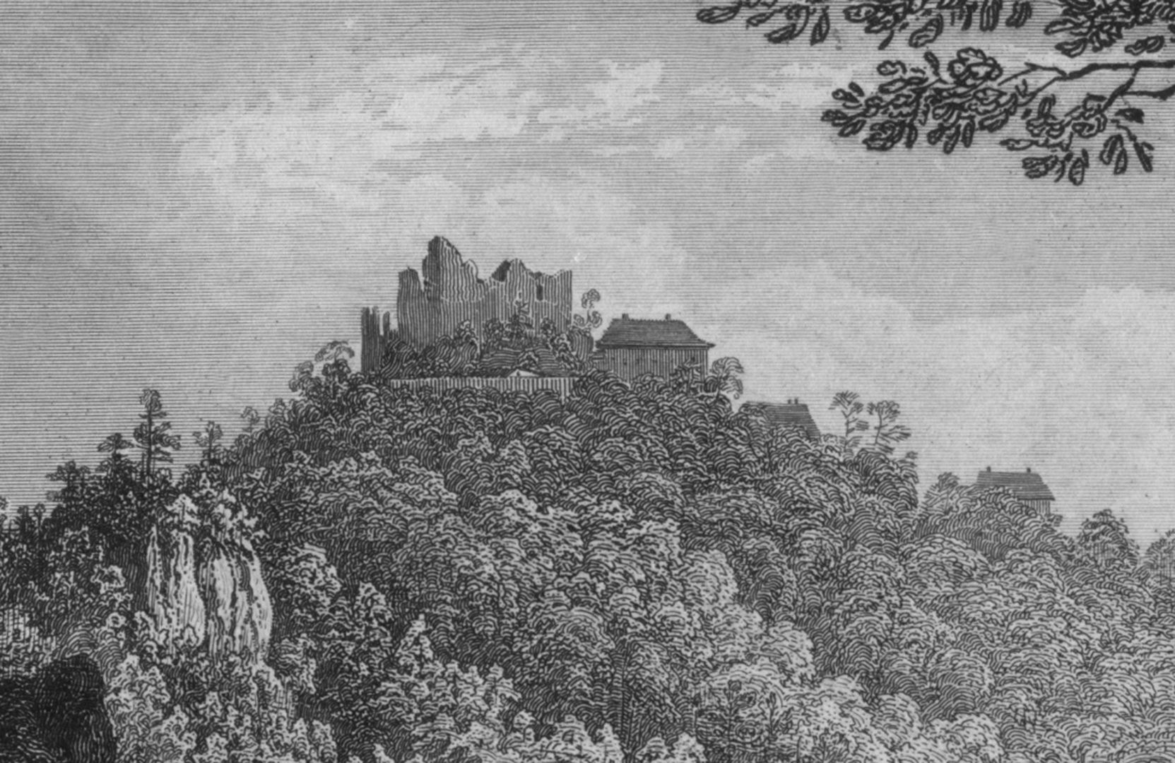 Ruine Hauseck Detailansicht mit Burgruine