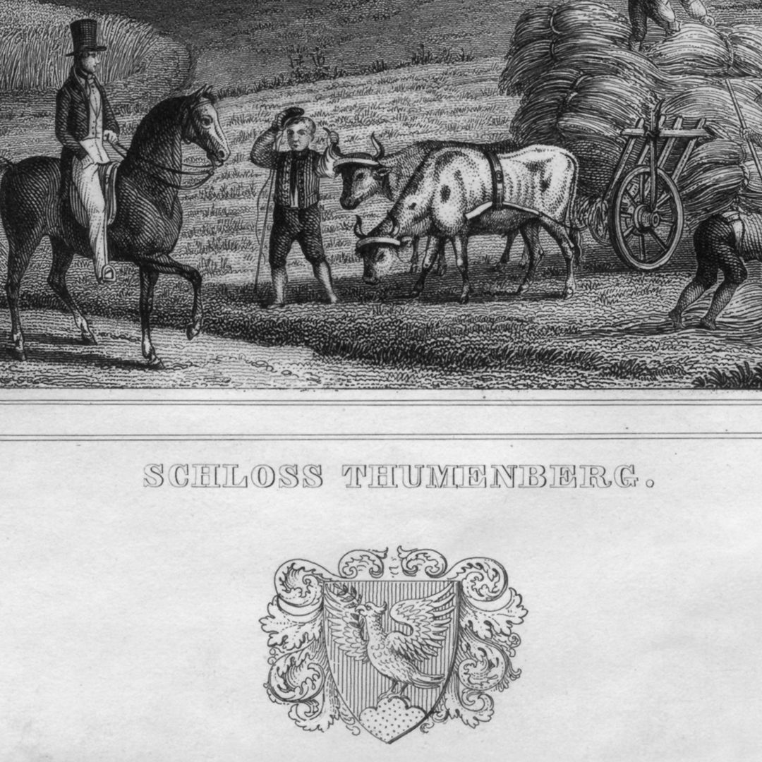 Schloss Thumenberg Detailansicht mit Inschrift und Wappen