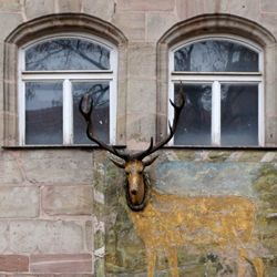 Ludwigstraße 75 / „zum gülden Hirschen“