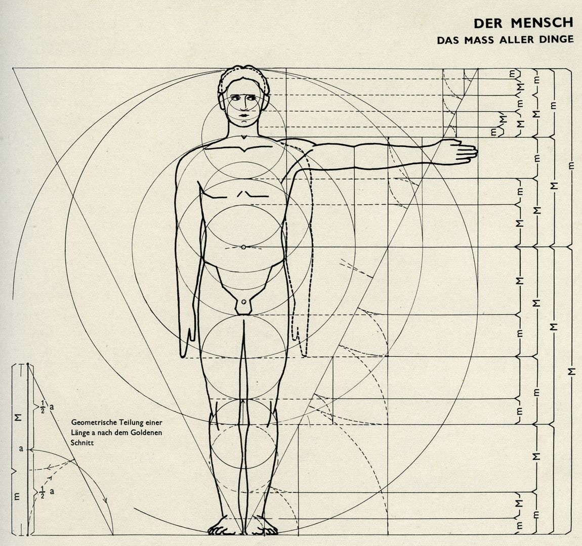 DER MENSCH / DAS MASS ALLER DINGE Bauentwurfslehre, Seite 23, oben: DER MENSCH / DAS MASS ALLER DINGE