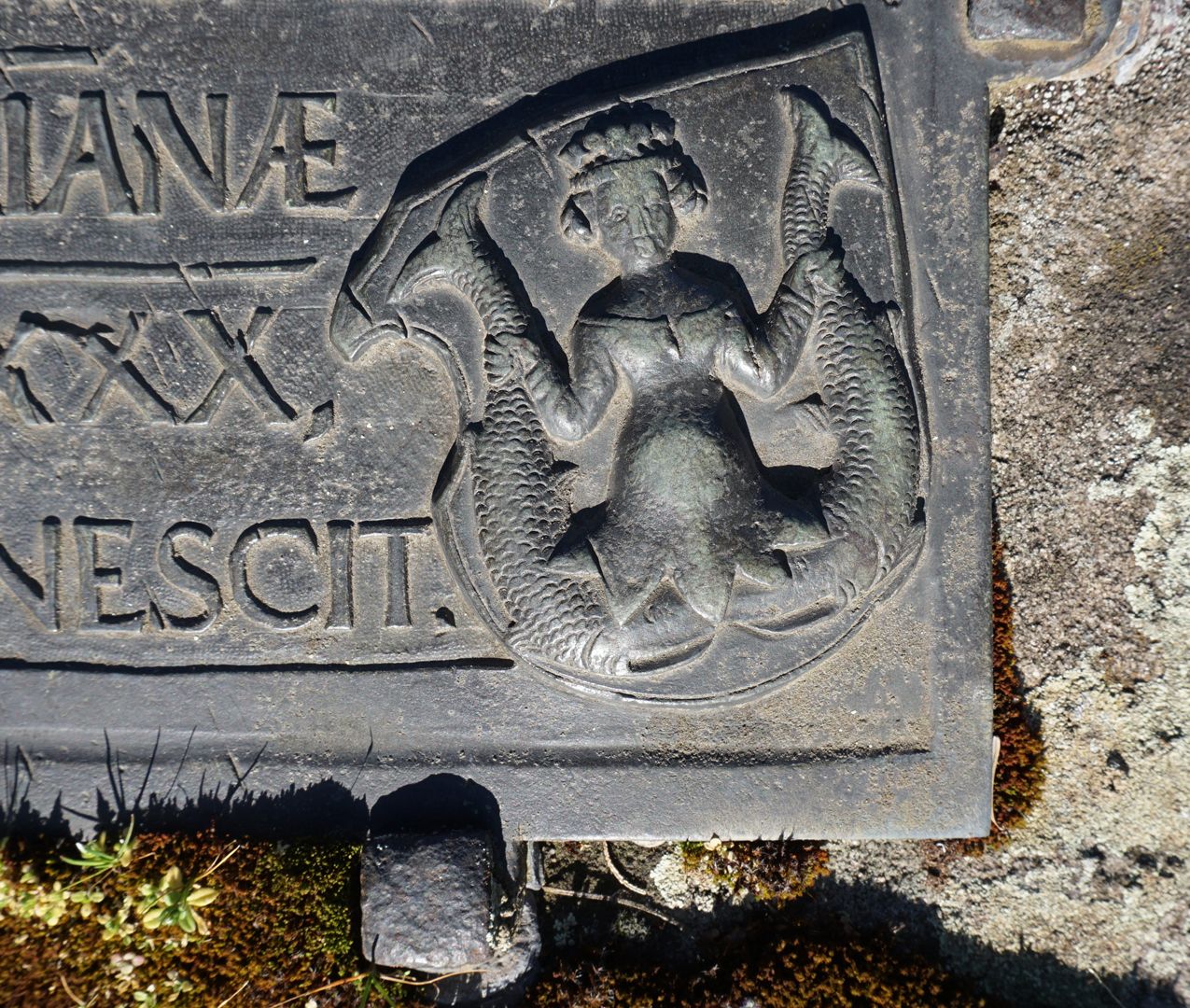 Epitaph des Willibald Pirckheimer Detailansicht mit Wappen Rieter