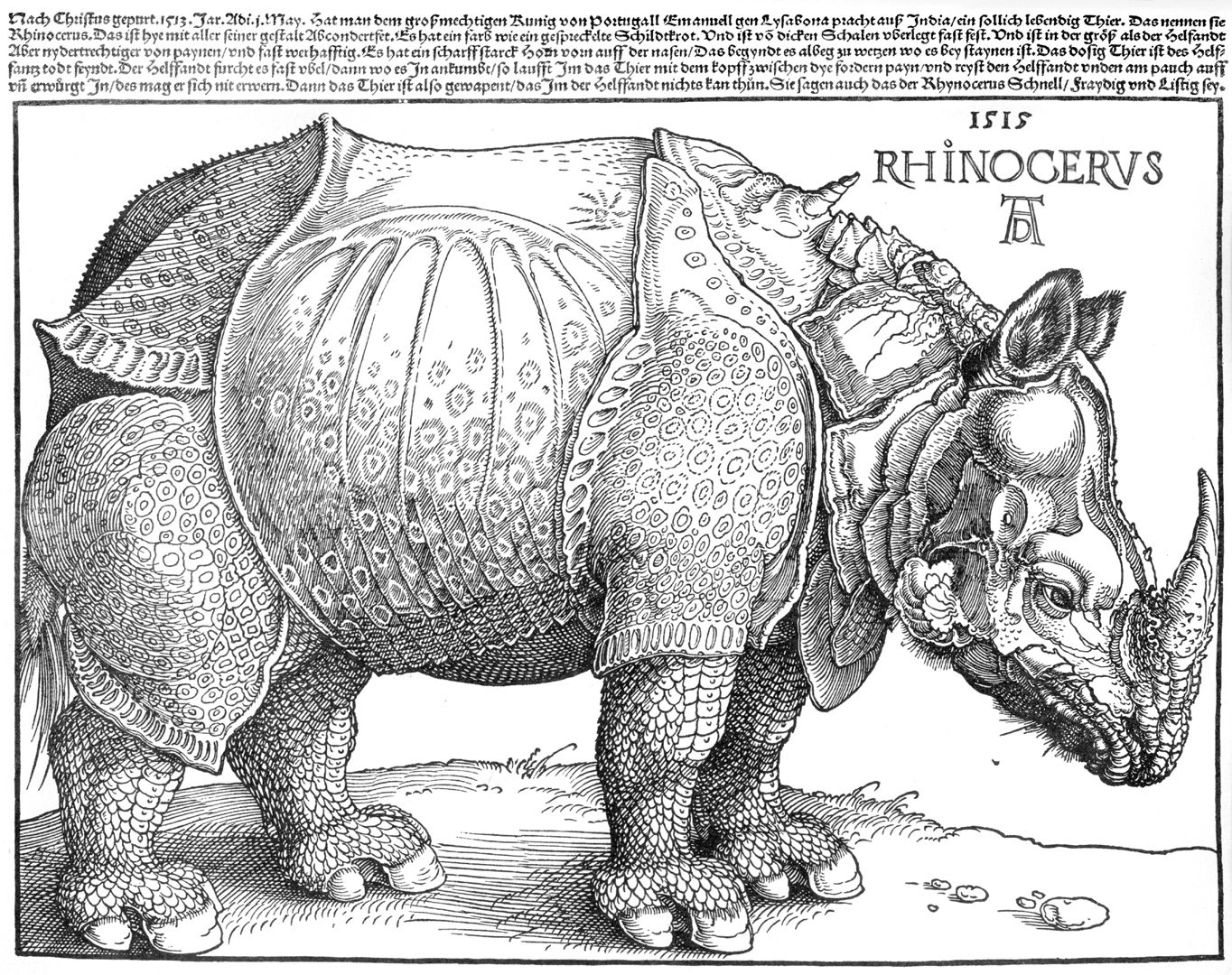 Rhinocerus Kunstwerk virtuelles Museum Nürnberger Kunst