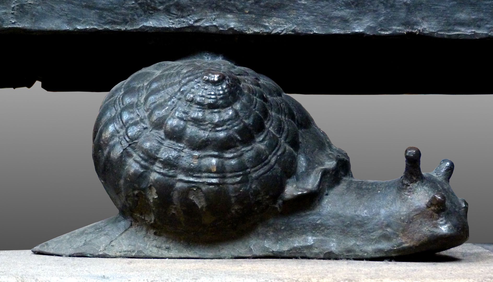 Sebaldusgrab Einzelschnecke