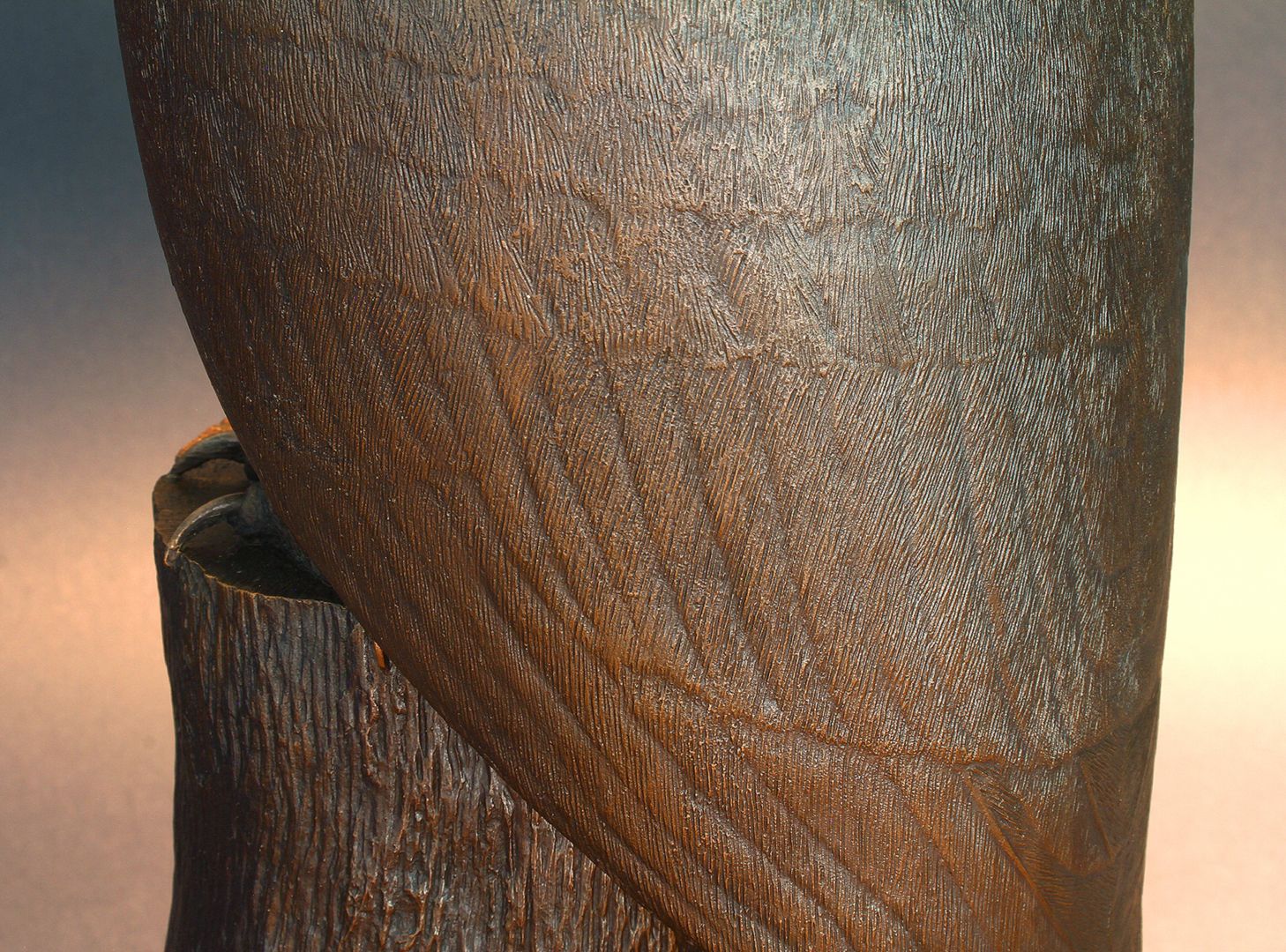 Waldkauz Gefieder, Detail