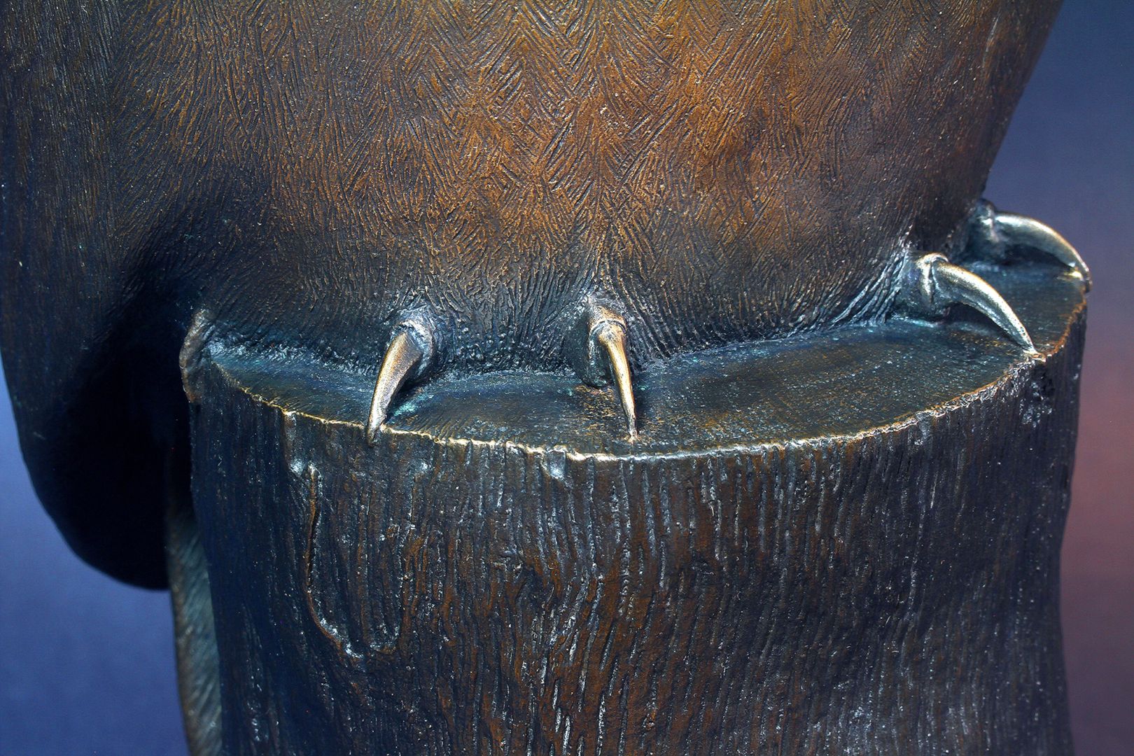 Waldkauz vordere Ansicht, Detail mit Krallen auf dem Baumstamm