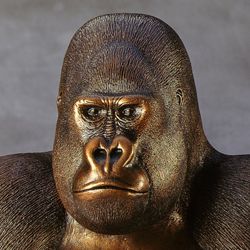 Westlicher Flachlandgorilla