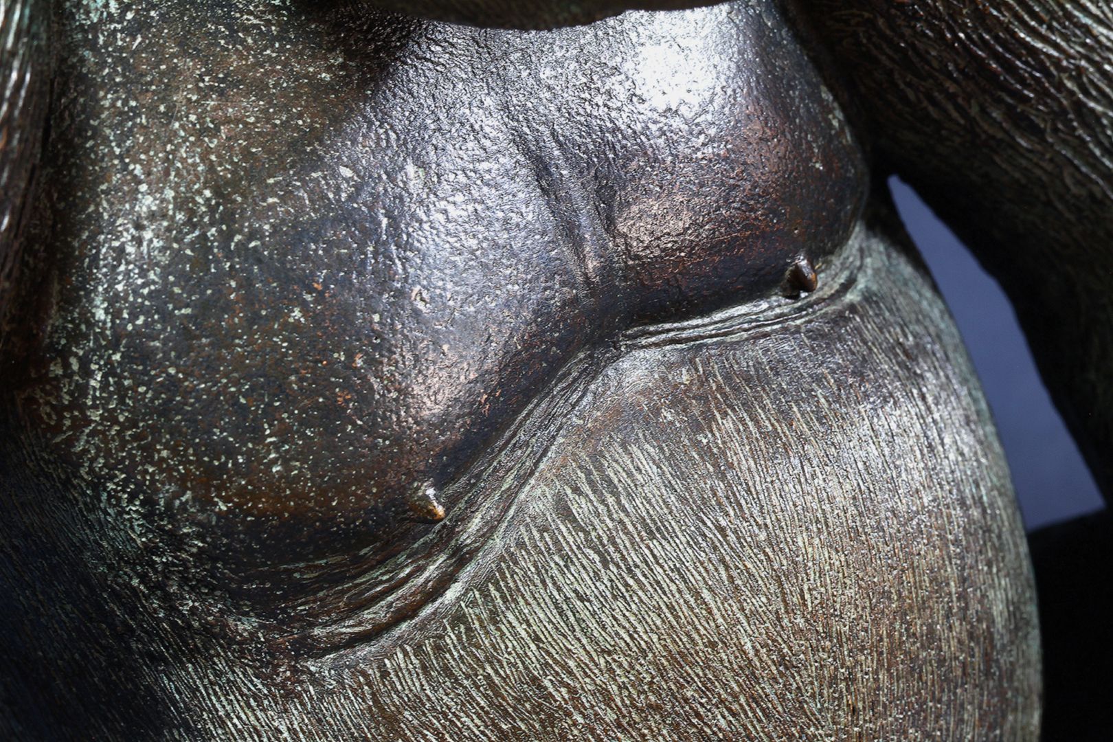 Westlicher Flachlandgorilla Oberkörper, Detail