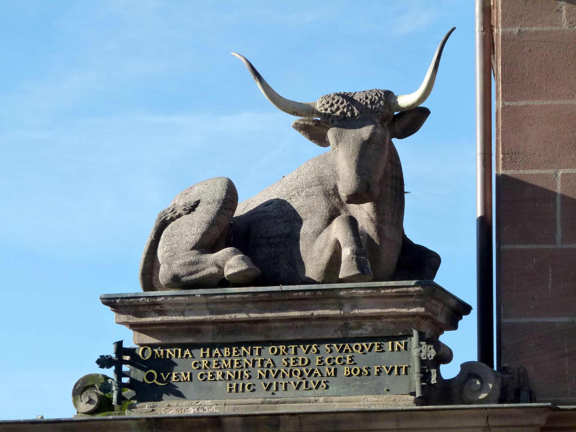 Fleischbrücke Ochse, Frontalansicht